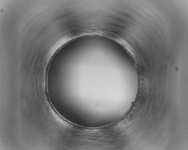 X0000089431143200706291308