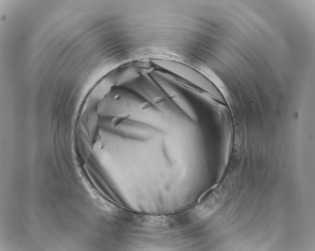 X0000089431144200706291308