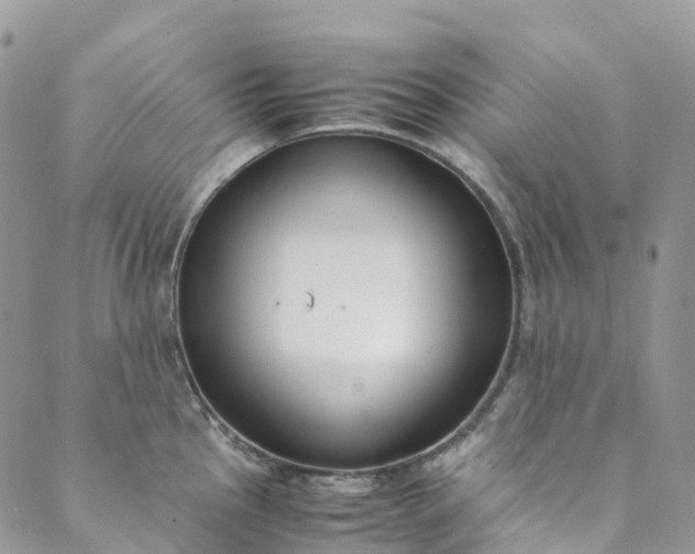 X0000089431145200706291308