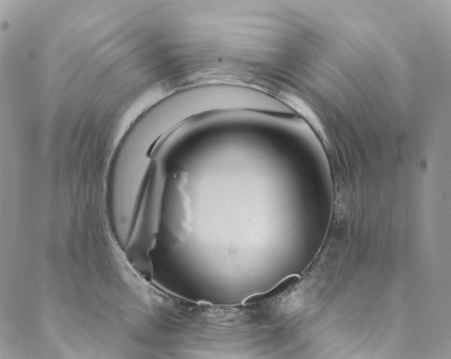 X0000089431146200706291308