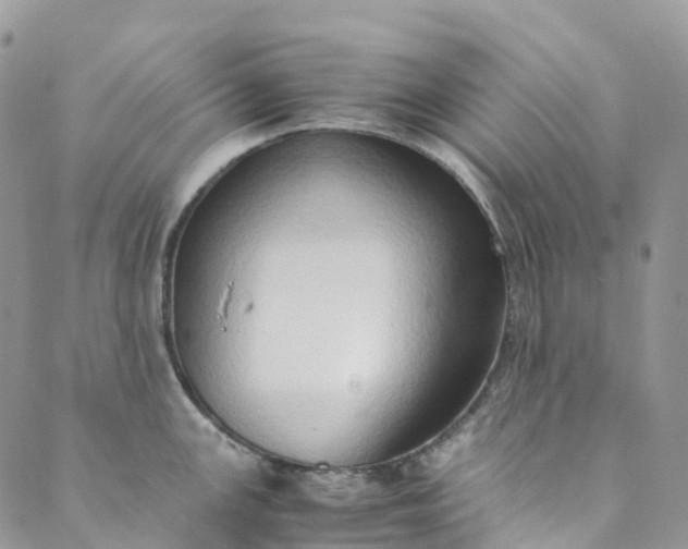 X0000089431147200706291308