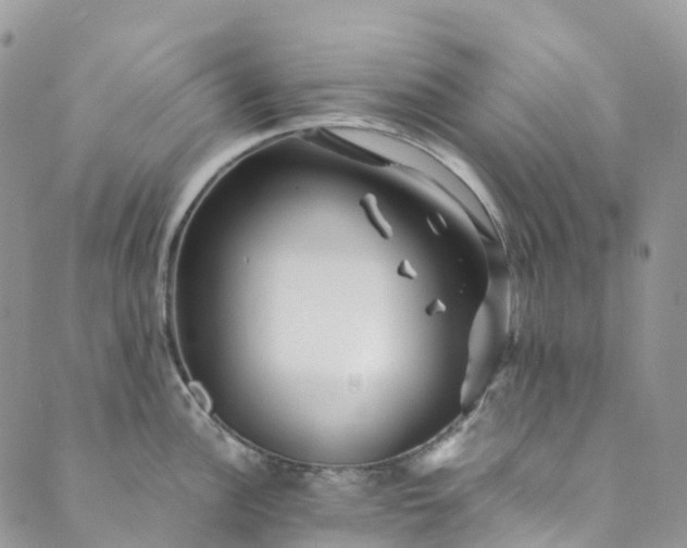 X0000089431148200706291308