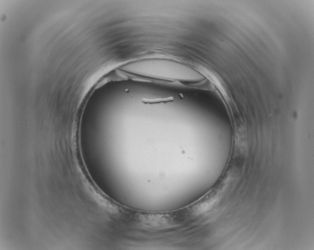 X0000089431149200706291308