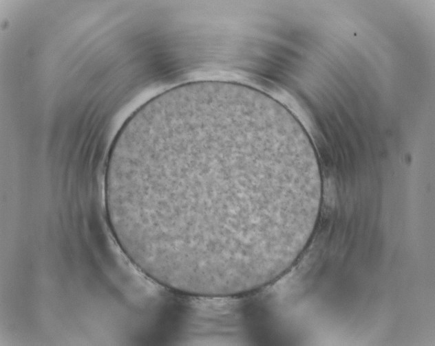 X0000089431150200706291308