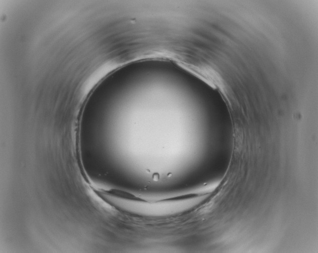 X0000089431151200706291308