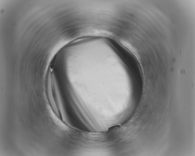 X0000089431152200706291308