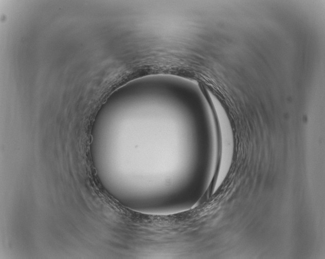 X0000089431153200706291307