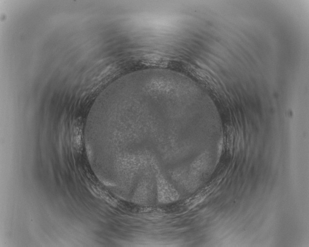 X0000089431154200706291307