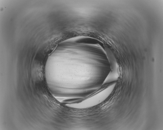 X0000089431156200706291307