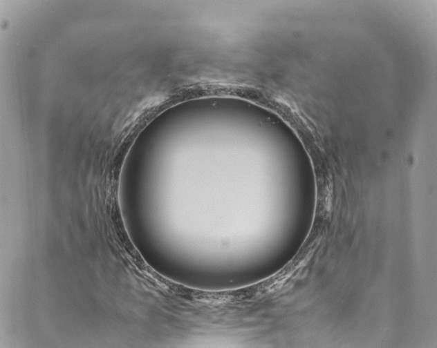 X0000089431157200706291307