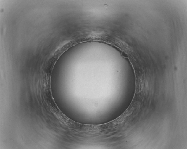 X0000089431158200706291307