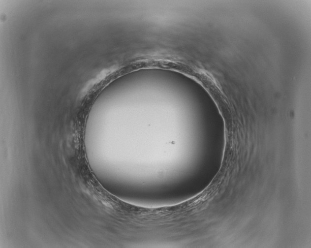 X0000089431159200706291307