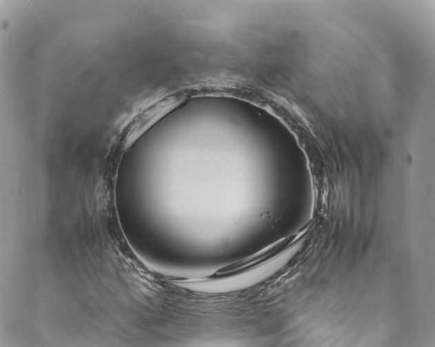 X0000089431160200706291307