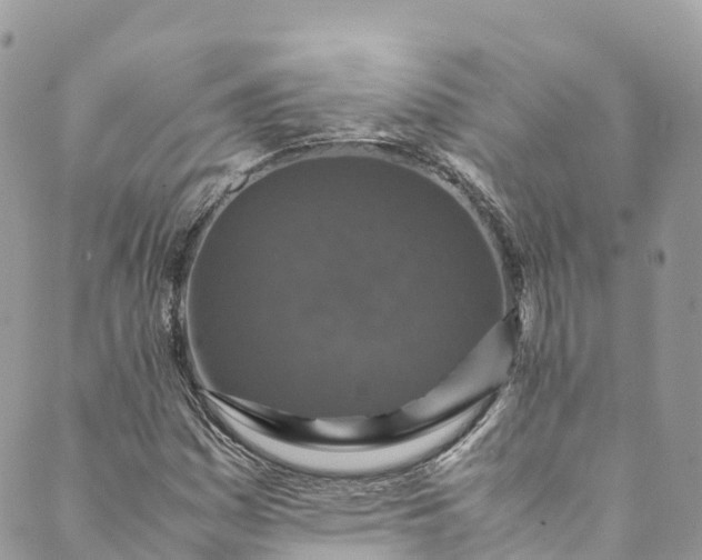 X0000089431161200706291307