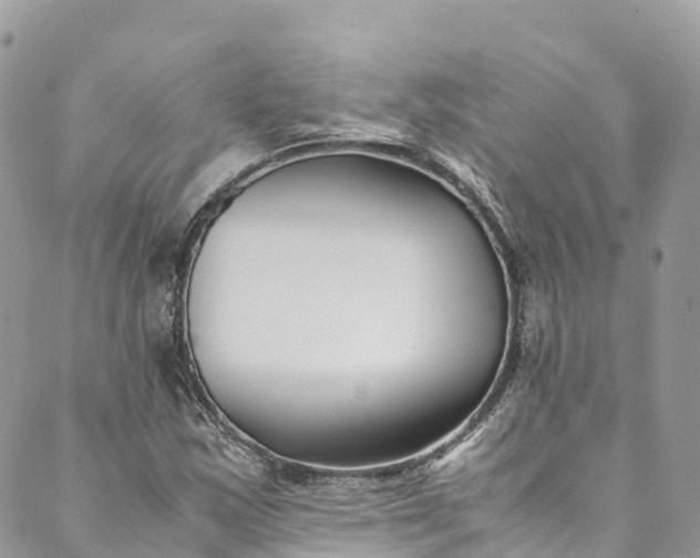 X0000089431163200706291307