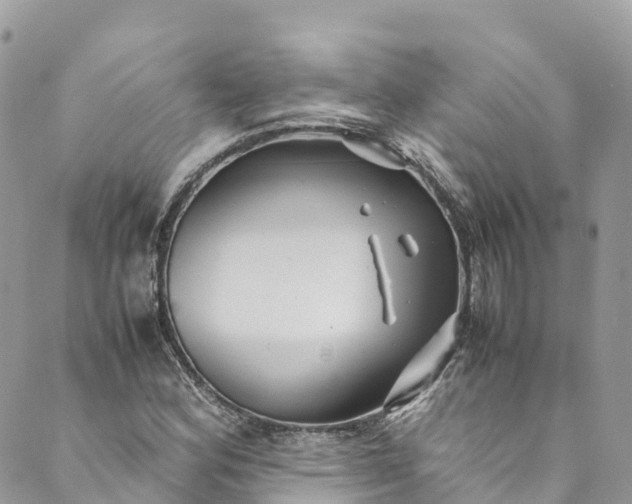 X0000089431164200706291307