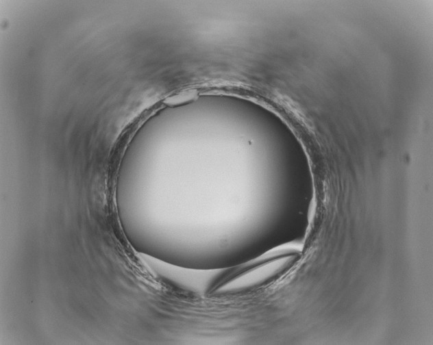 X0000089431165200706291307