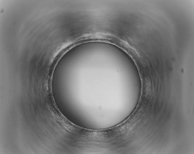 X0000089431166200706291307