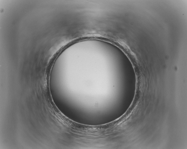 X0000089431167200706291307