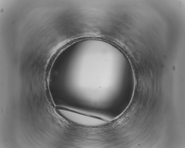 X0000089431168200706291307