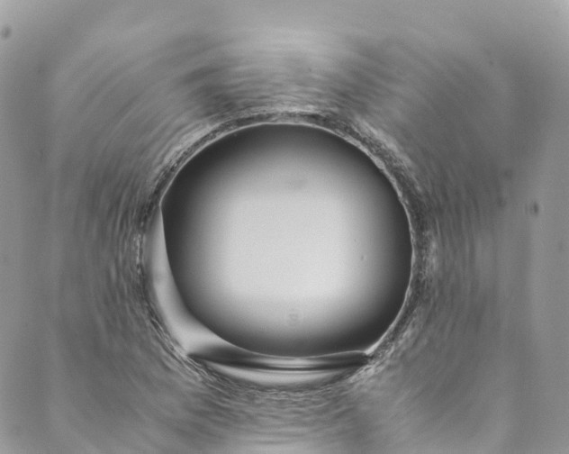 X0000089431169200706291307