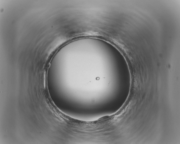 X0000089431171200706291307