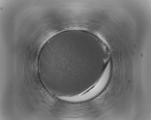 X0000089431173200706291307