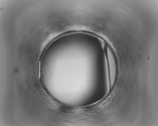 X0000089431175200706291307