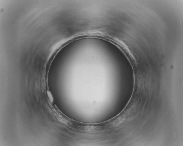 X0000089431176200706291307