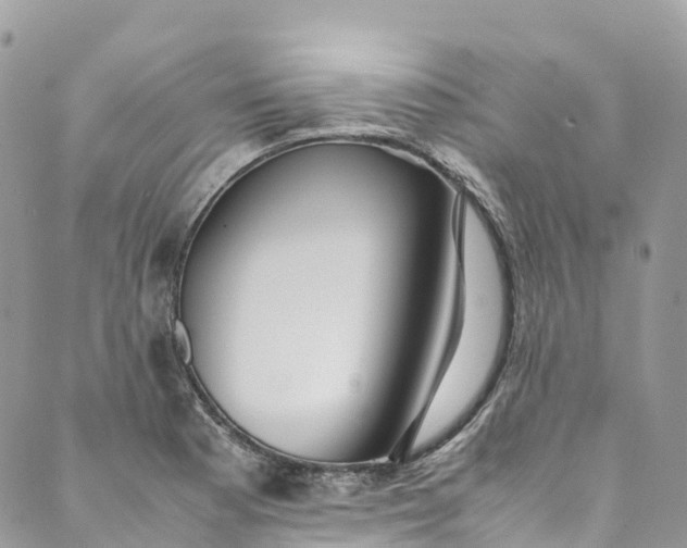 X0000089431177200706291307