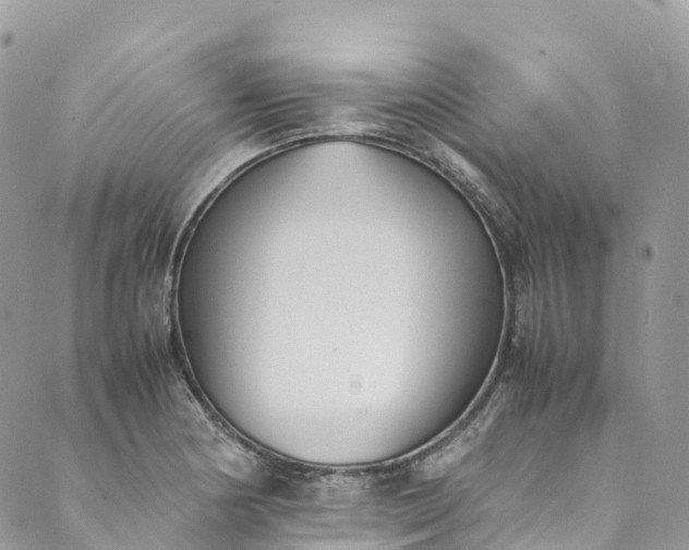 X0000089431178200706291307