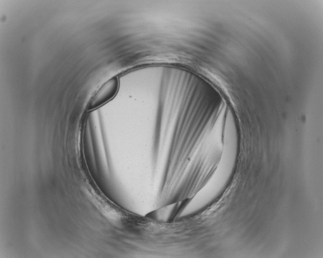 X0000089431179200706291307