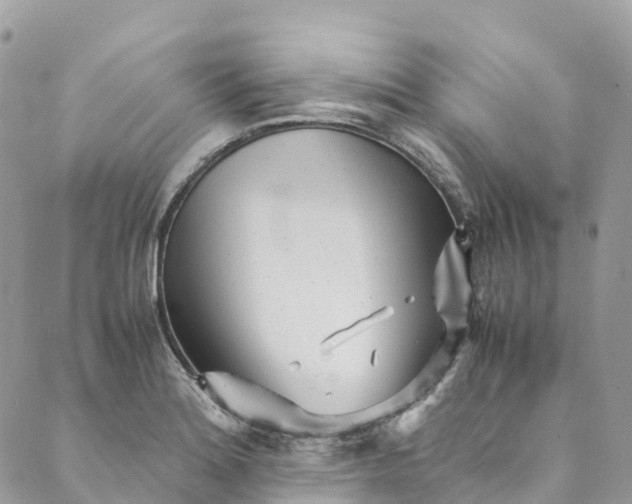 X0000089431180200706291306