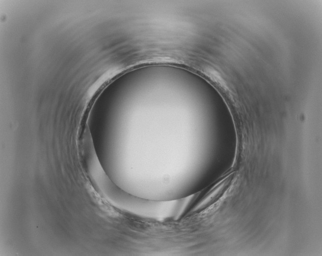 X0000089431181200706291306