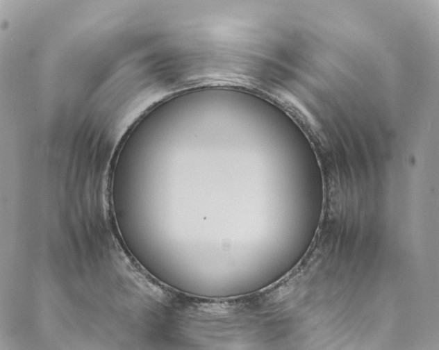 X0000089431182200706291306