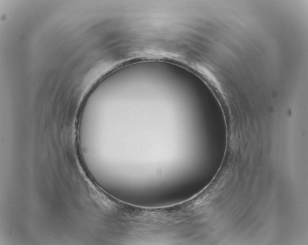 X0000089431183200706291306