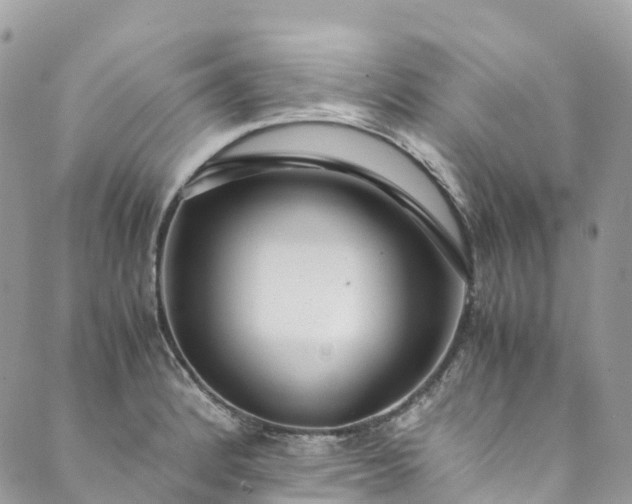 X0000089431184200706291306