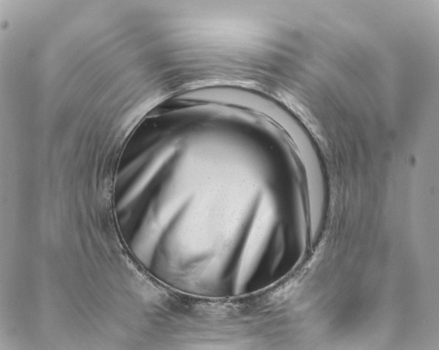 X0000089431185200706291306