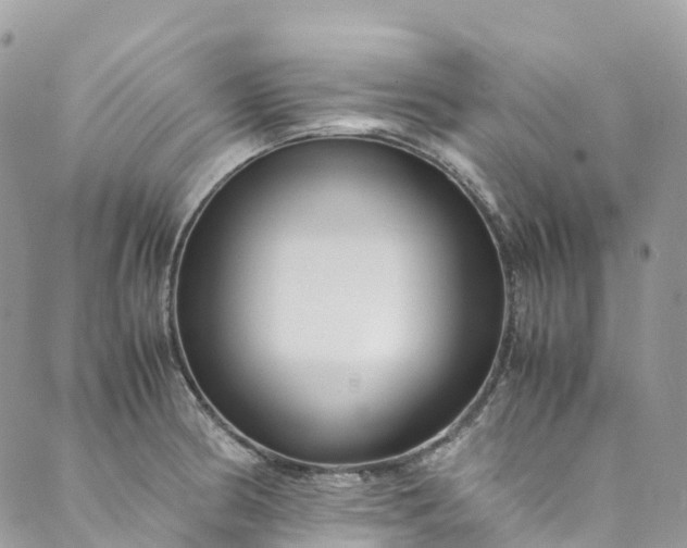 X0000089431186200706291306