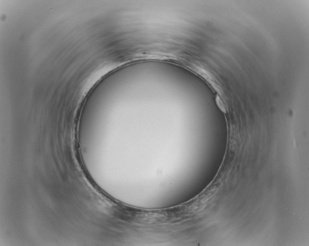 X0000089431187200706291306