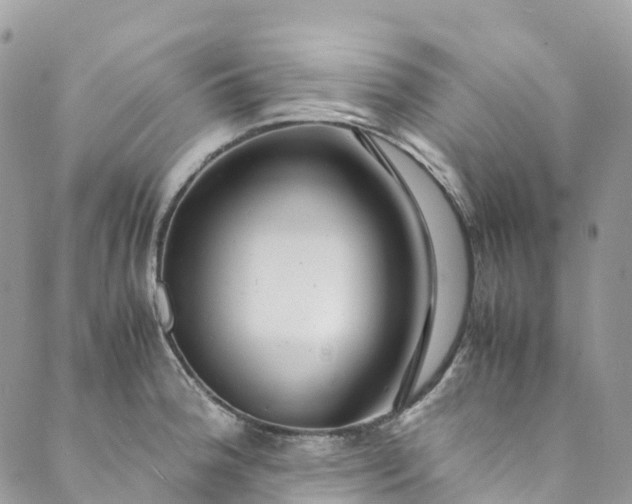 X0000089431188200706291306