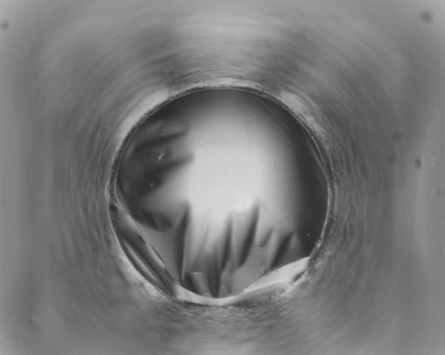 X0000089431189200706291306