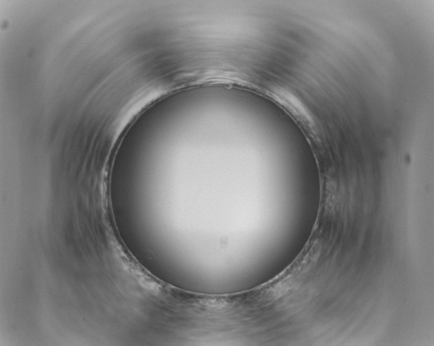 X0000089431190200706291306