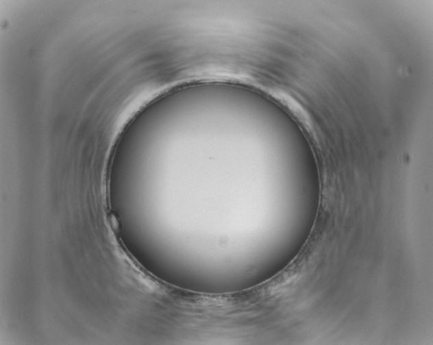 X0000089431191200706291306