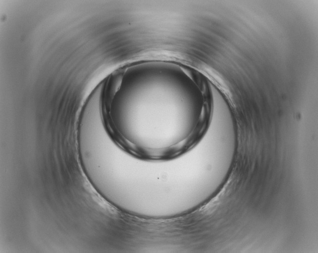 X0000089431192200706291306