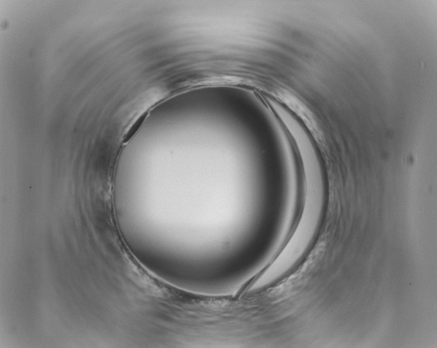 X0000089431193200706291306