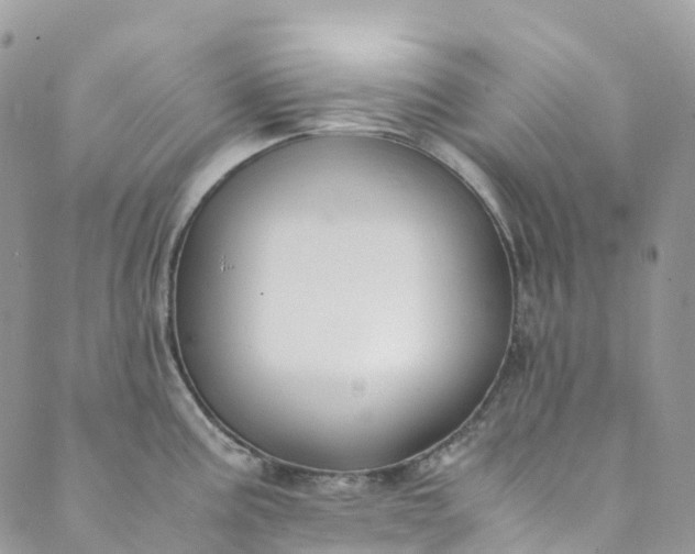 X0000089431195200706291306