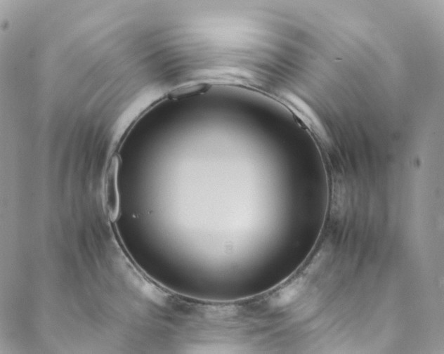 X0000089431196200706291306