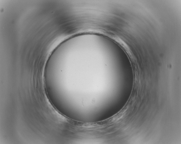 X0000089431199200706291306