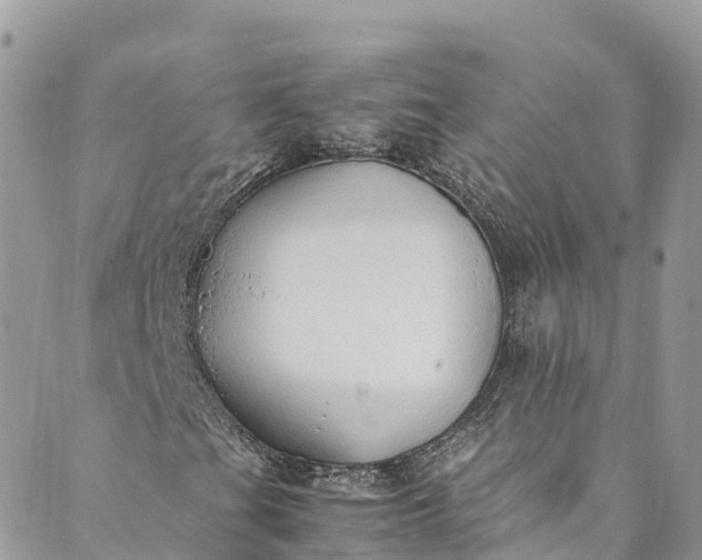 X0000089431201200706291305